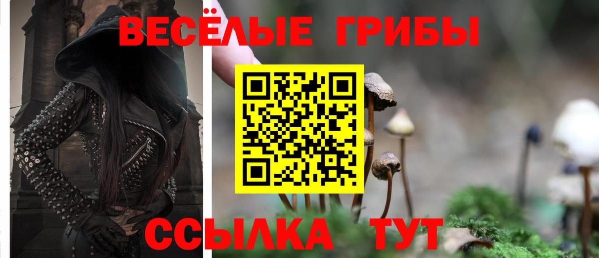 Псилоцибиновые грибы Psilocybe  Вход с VPN  Ишим  Псилоцибиновые грибы мицелий 