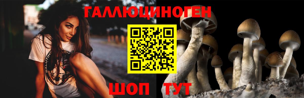 Псилоцибиновые грибы ЛСД Ишим